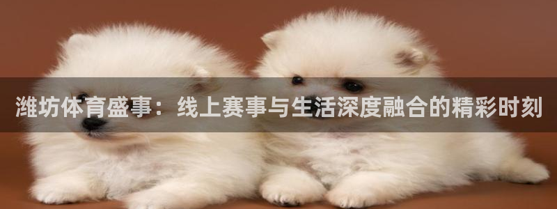 潍坊体育盛事：线上赛事与生活深度融合的精彩时刻