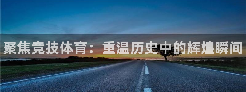 聚焦竞技体育：重温历史中的辉煌瞬间