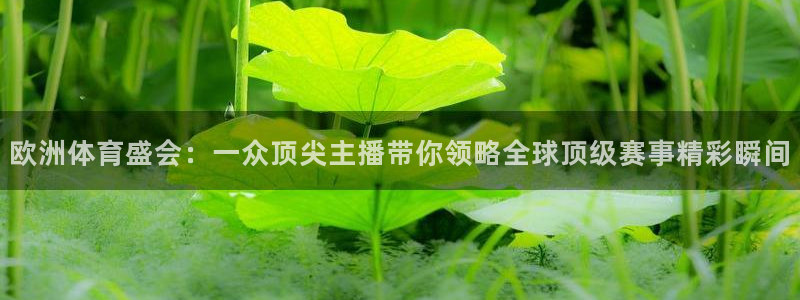 欧洲体育盛会：一众顶尖主播带你领略全球顶级赛事精彩瞬间