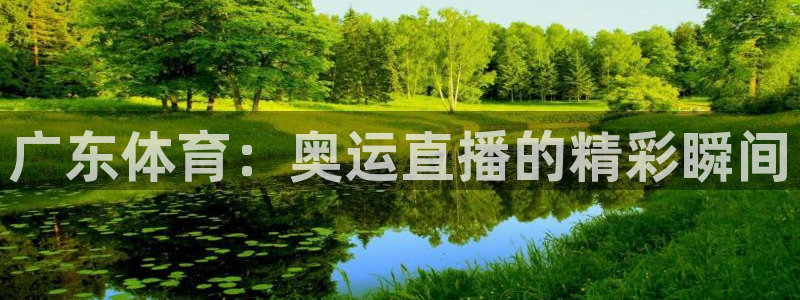广东体育：奥运直播的精彩瞬间